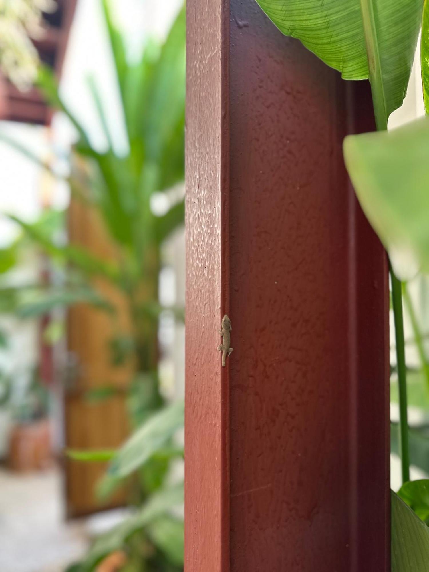 Palmcalina - Phuqui Beach House Cu Lao Thu Luaran gambar