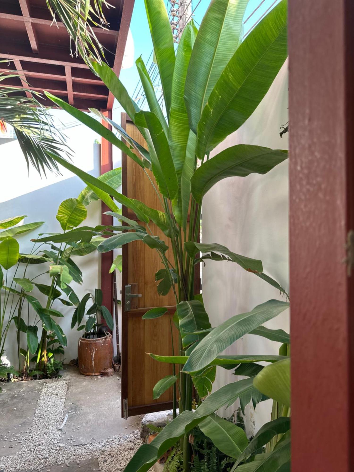 Palmcalina - Phuqui Beach House Cu Lao Thu Luaran gambar