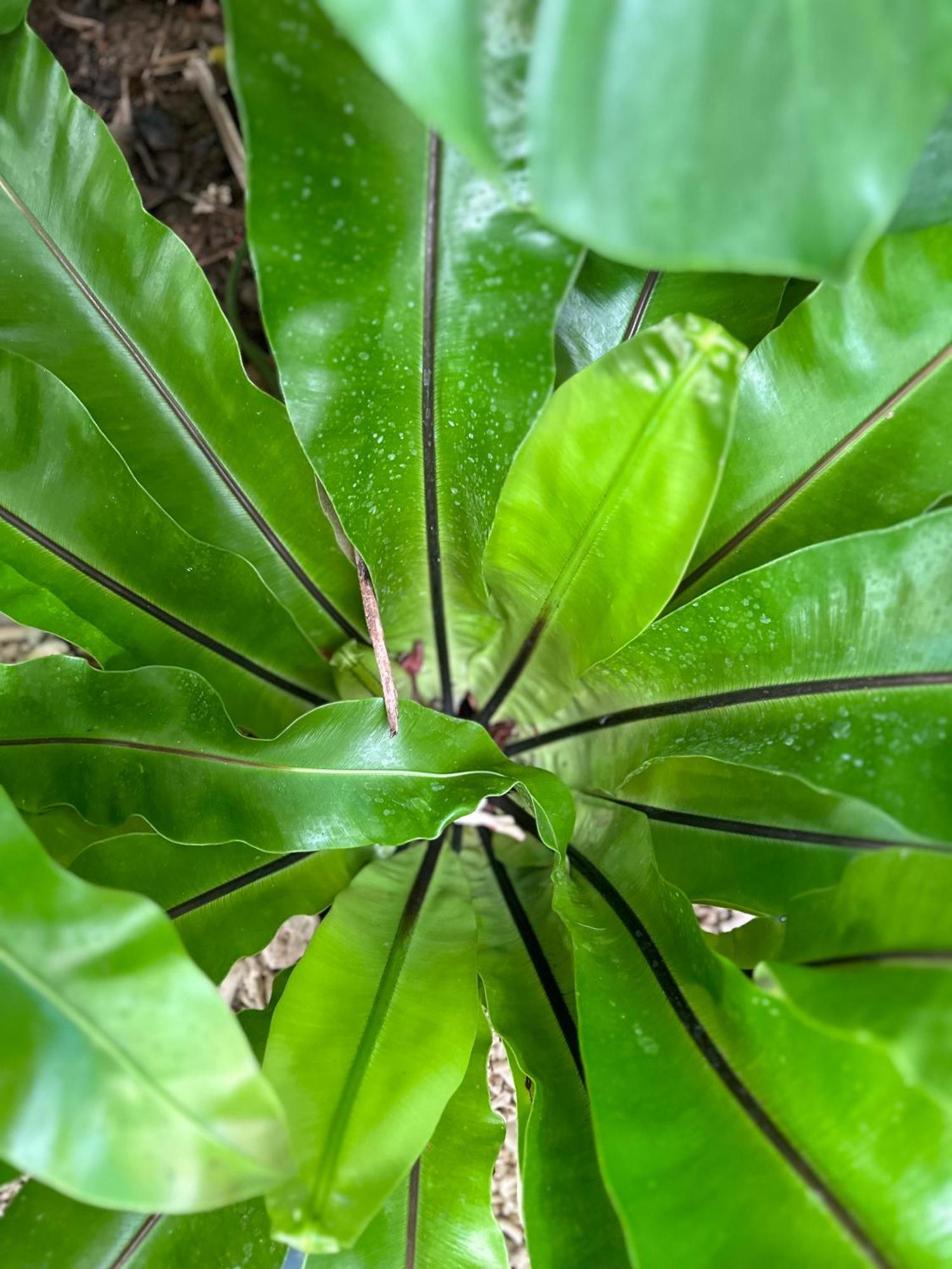 Palmcalina - Phuqui Beach House Cu Lao Thu Luaran gambar