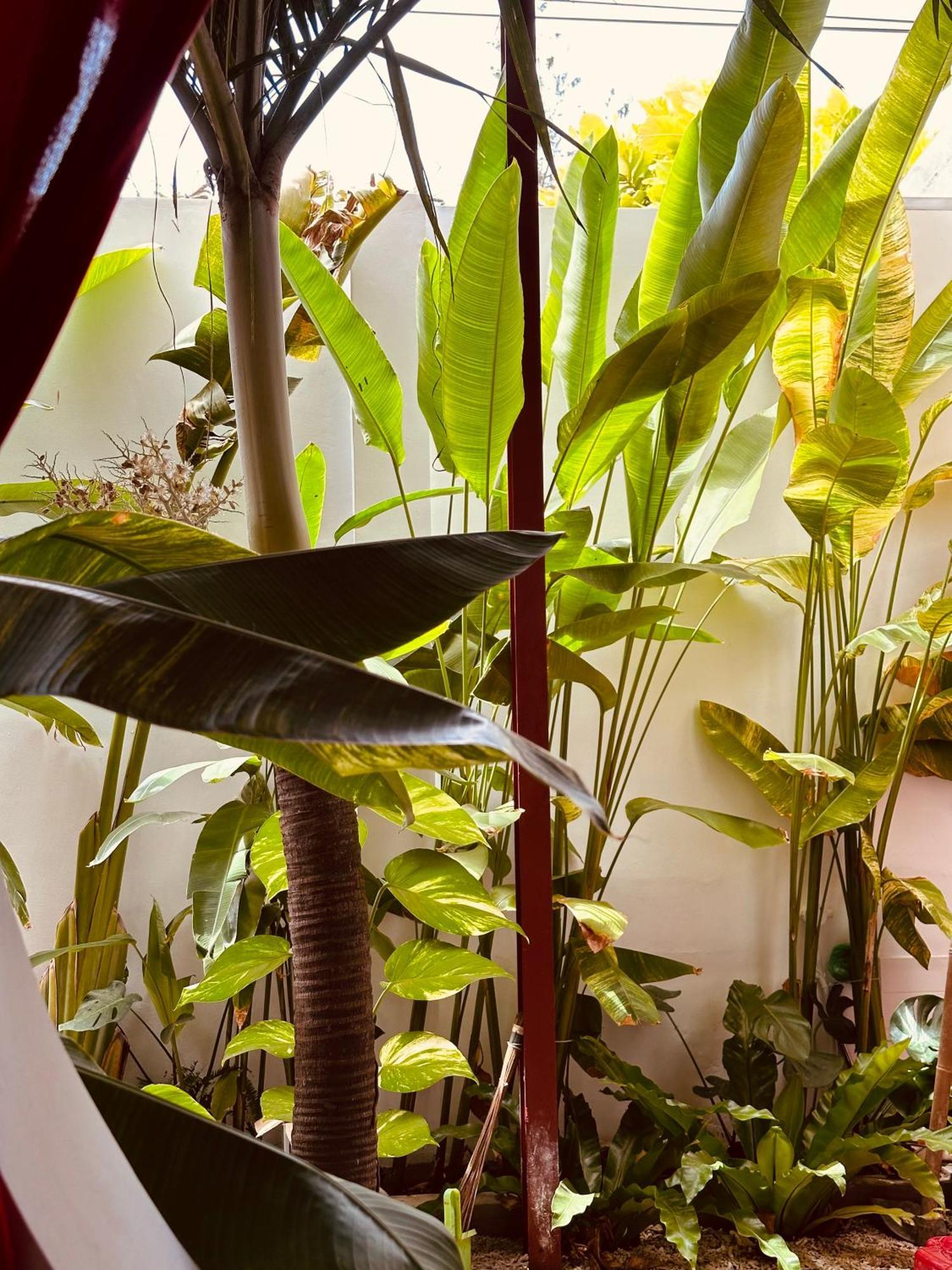 Palmcalina - Phuqui Beach House Cu Lao Thu Luaran gambar