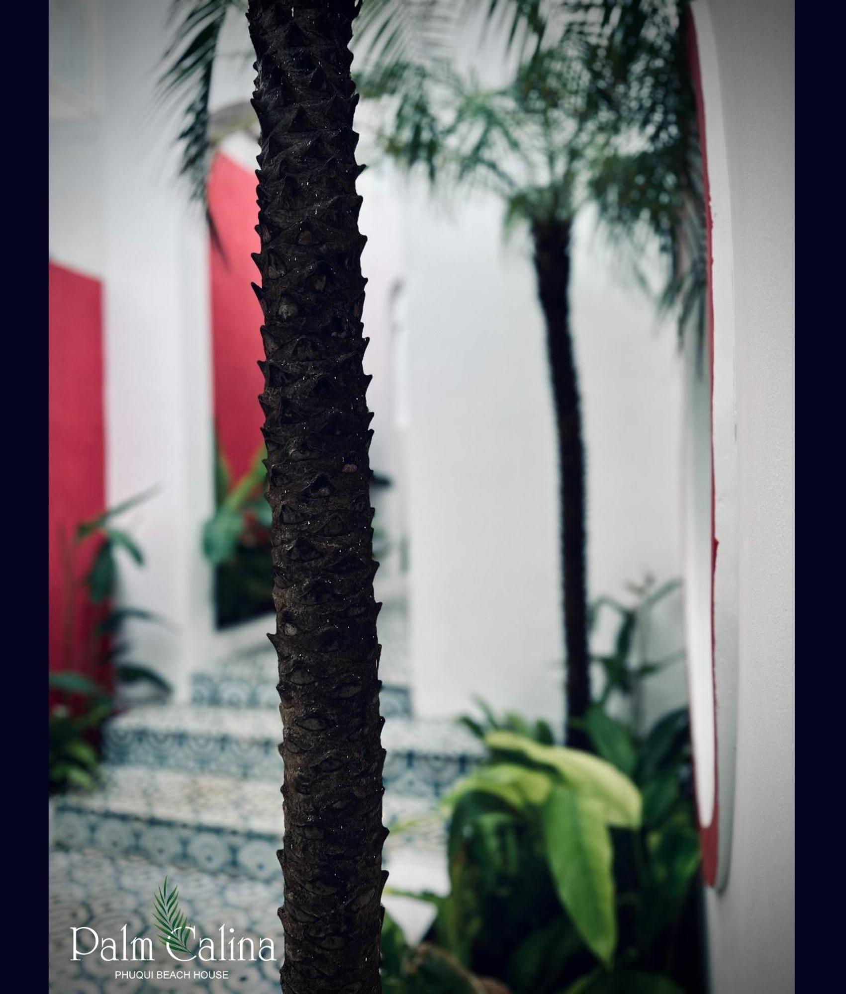 Palmcalina - Phuqui Beach House Cu Lao Thu Luaran gambar